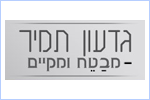 גדעון תמיר - סוכנות לביטוח ופיננסים